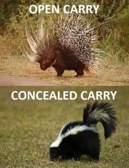 open carry